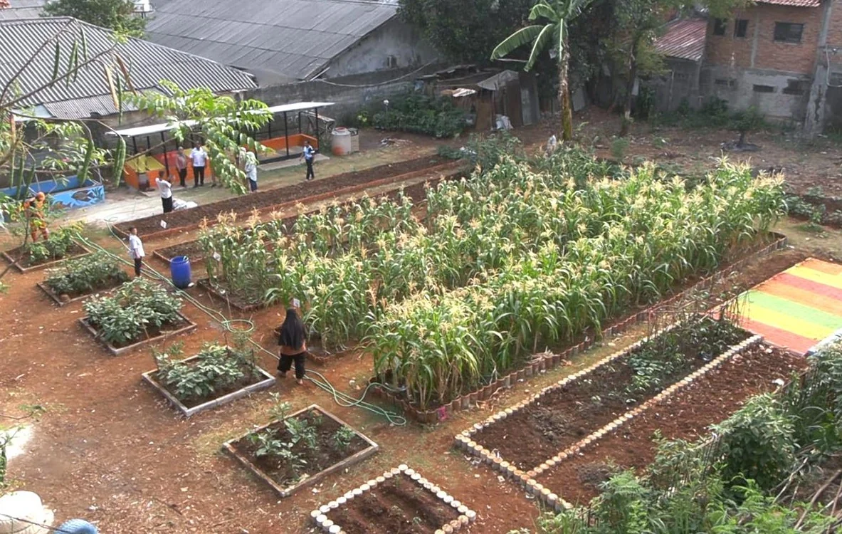 Pihak Kelurahan Petukangan Utara, Kecamatan Pesanggrahan, Jakarta Selatan menata lahan kosong di Jalan Haji Radin, RT 02/04, menjadi kawasan ketahanan pangan produktif. Foto: Pemkot Jaksel