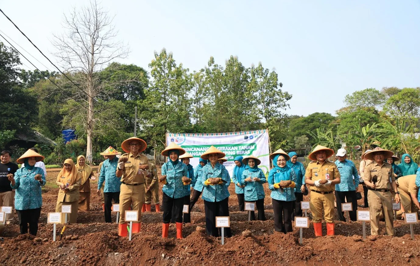 Pencanangan Gerakan Tanam Serentak Tanaman Pangan Pendamping Beras se-DKI dilakukan di Kebun Bibit, SMKN 63 Jakarta, Kelurahan Cipedak, Kecamatan Jagakarsa, Jakarta Selatan, Senin (31/8/2026). Foto: kabarjakarta