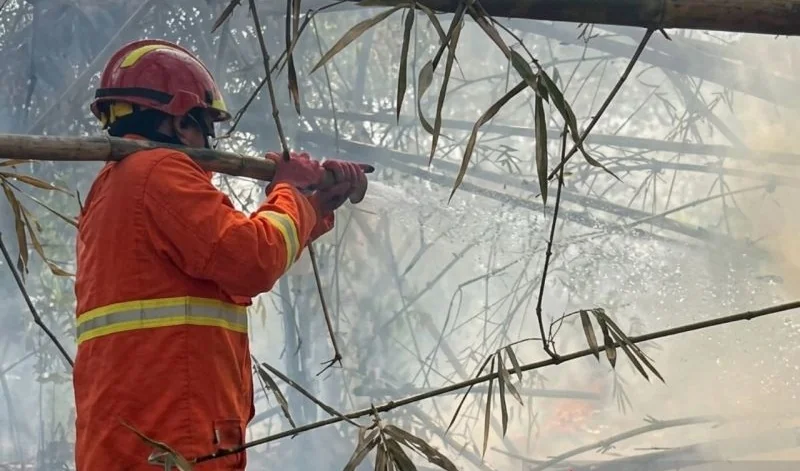 Tim gabungan memadamkan api di wilayah konservasi Cagar Alam Muara Kaman Sedulang, Desa Liang Buaya, Kabupaten Kutai Kartanegara. Foto: BKSDA Kaltim