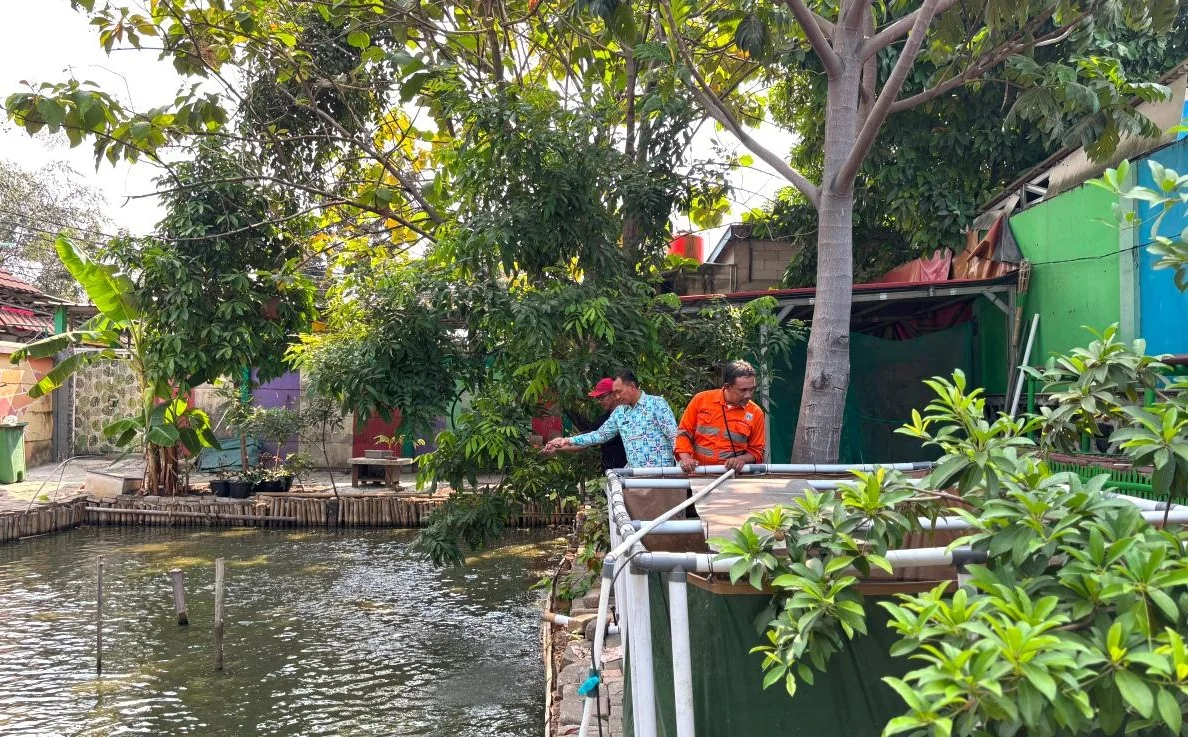 Lahan tidur 450 meter persegi di sisi timur belakang RPTRA Rasela, Kelurahan Rawa Badak Selatan, Kecamatan Koja, Jakarta Utara disulap menjadi ruang produktif yang mengintegrasikan pertanian, perikanan, dan peternakan perkotaan. Foto: beritajakarta