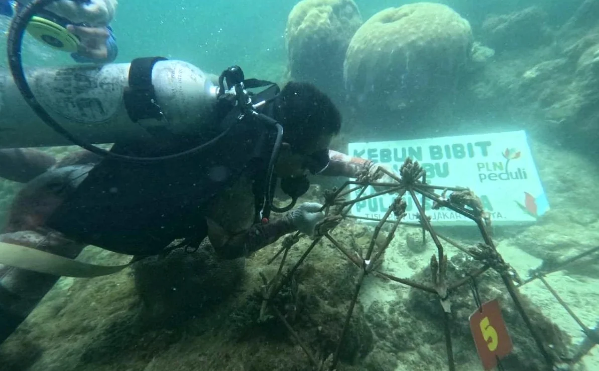 Pemkab Kepulauan Seribu bersama PT PLN (Persero) Unit Induk Distribusi (UID) Jakarta Raya, Senin (3/8), menggelar program konservasi bertajuk 'Sabira Green and Digital Lighthouse Island' di Pulau Sabira, Kelurahan Pulau Harapan, Kepulauan Seribu Utara. Pr