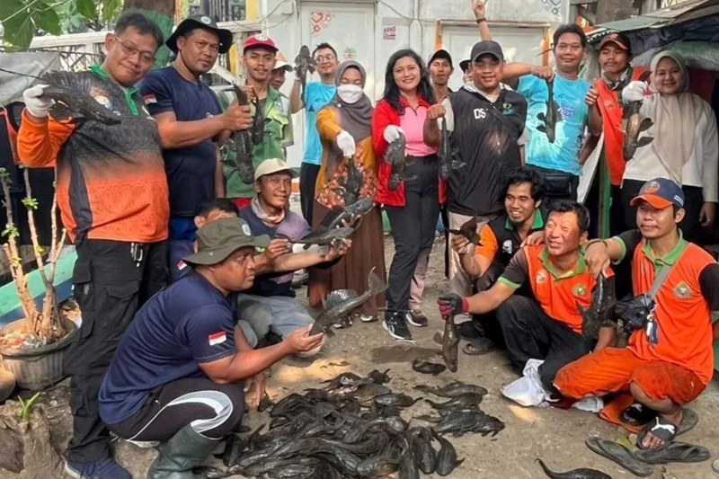 Sudin Ketahanan Pangan, Kelautan dan Pertanian (KPKP) Jakarta Barat menggelar operasi penangkapan ikan sapu-sapu di Kali Olimo, Jumat (12/6/2026). Foto: Pemkot Jakbar