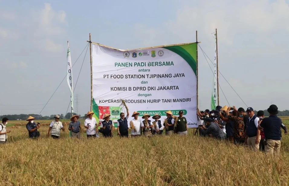 DIreksi dan komisaris PT Food Station Tjipinang Jaya bersama anggota dewan dari Komisi B DPRD DKI Jakarta melaksanakan panen padi di lahan kerjasama dengan Koperasi Produsen Hurip Tani Mandiri di Desa Kutajaya, Kecamatan Kutawaluya, Karawang, Jawa Barat,