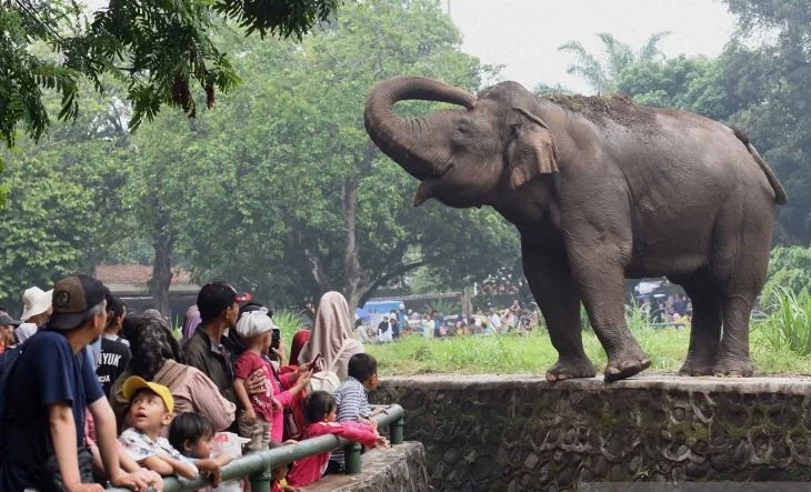 Dokumentasi - Pengunjung berwisata di Taman Margasatwa Ragunan, Jakarta, Senin (25/12/2023). Pengelola Taman Margasatwa Ragunan mencatat hingga pukul 16.00 WIB jumlah pengunjung mencapai 52.020 wisatawan mulai dari anak-anak hingga orang dewasa pada libur