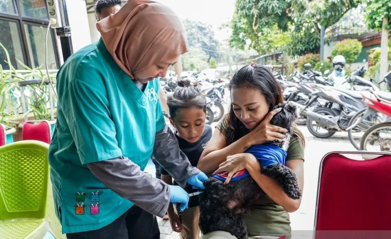 Kegiatan vaksinasi rabies gratis bagi hewan peliharaan warga yang digelar di Kantor Kelurahan Rawasari, Jakarta Pusat pada Rabu (9/9/2026). Foto: Pemkot Jakpus