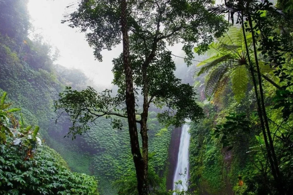 Dua tantangan masa depan untuk keanekaragaman hayati Indonesia, yakni potensi kehilangan hayati yang berdampak langsung dan tidak langsung bagi kehidupan manusia, serta potensi keanekaragaman hayati yang belum diungkapkan sepenuhnya untuk kepentingan manu