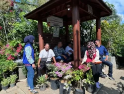 Bisnis Pedagang Bunga Bratang Surabaya Terus Berkembang