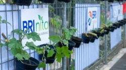 Rating Sustainalytics BRI Terus Membaik