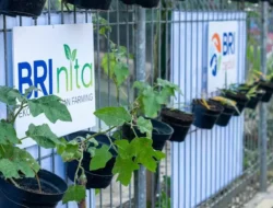 Rating Sustainalytics BRI Terus Membaik