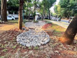 Rain Garden di Taman Wisma Angkasa, Cara Baru Jaksel Menahan Genangan