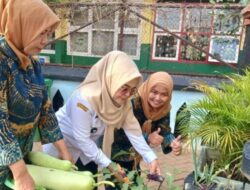 Dari Daun Kering jadi Pupuk, Pinang Ranti Sulap Limbah untuk Urban Farming