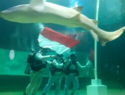 Merah Putih Berkibar di Akuarium Hiu, Semarak Kemerdekaan Hadir di Ancol