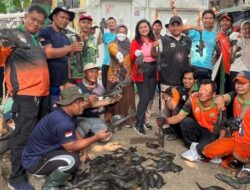 KPKP Jakbar Tangkap 98 Ikan Sapu-sapu demi Jaga Ekosistem
