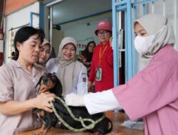 1.600 HPR Divaksin Rabies, Duren Sawit Kejar Target Jakarta Bebas Rabies