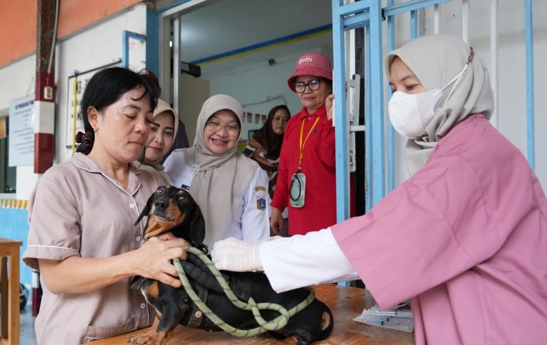 1.600 HPR Divaksin Rabies, Duren Sawit Kejar Target Jakarta Bebas Rabies