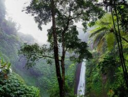 Kredit Biodiversitas, Cara Baru Membiayai Konservasi Taman Nasional