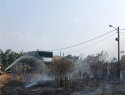 Kemarau Datang, Jakarta Hadapi Ancaman Kebakaran dan Kekeringan