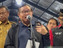 Pemprov DKI Siapkan Koperasi Pedagang untuk Jaga Ekonomi Pedagang Ikan