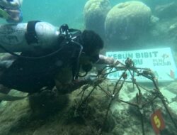 Di Pulau Sabira, Menjaga Penyu Berarti Menjaga Laut dan Masa Depan Nelayan