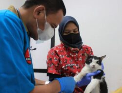 Lima Puskeswan Baru Jakarta, Perkuat Benteng Kesehatan Hewan dan Cegah Zoonosis
