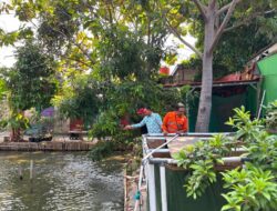 Dari Lahan Tidur jadi Taman Agrowisata, Warga Rawa Badak Selatan Punya Ruang Belajar Baru