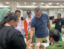 Jakarta Mengejar Nol Rabies: Dari Vaksin Gratis hingga Sterilisasi Satwa di Permukiman