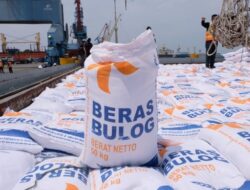 Musim Paceklik Dorong Harga Beras Naik, Daya Beli Warga Jakarta Tertekan