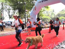 Lari Bersama Anabul, Mengingatkan Jakarta agar Tak Lengah Rabies