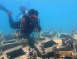 Di Bawah Laut Pulau Tidung, Terumbu Karang Menemukan Kehidupannya Kembali
